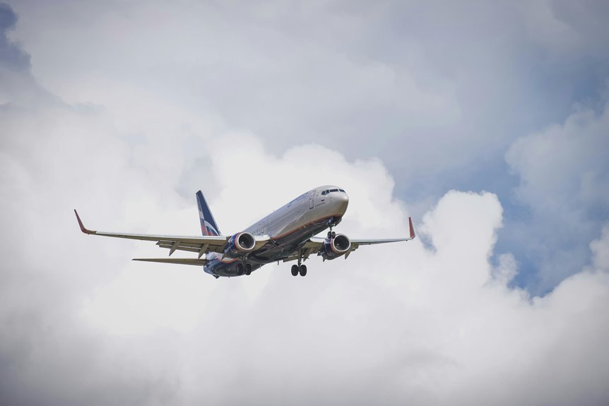 sector dynamics and trends